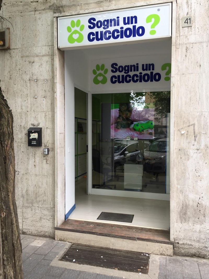 Sogni un Cucciolo?