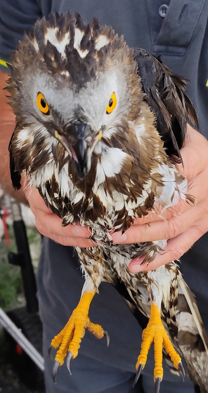 Clinica per Animali Esotici