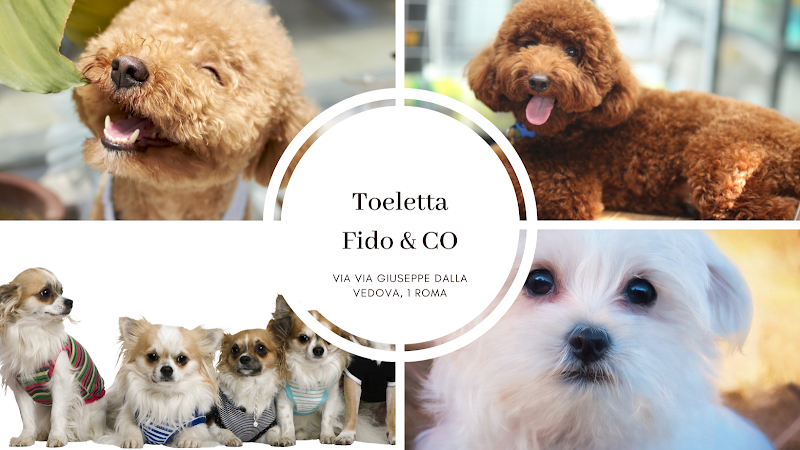 Toeletta Fido & Co