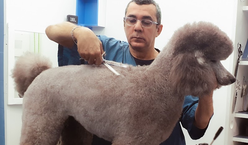 Cani e Gatti S.a.s di Maurizio Nilo Panepinto