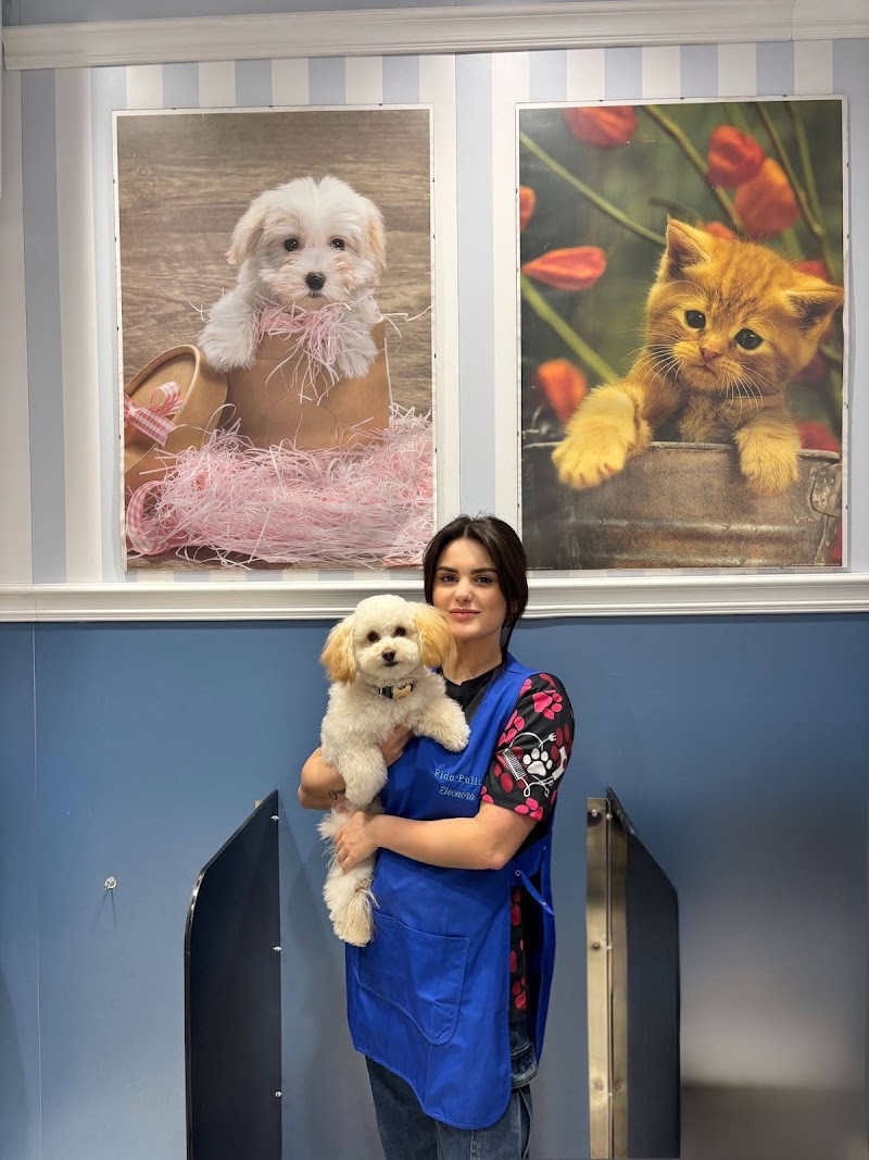 Toeletta Cani - Eleonora Raffi - C.Comm.le "Porta di Roma"