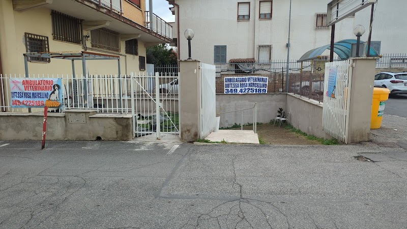 Ambulatorio Veterinario Dottoressa Marcellino Rosa