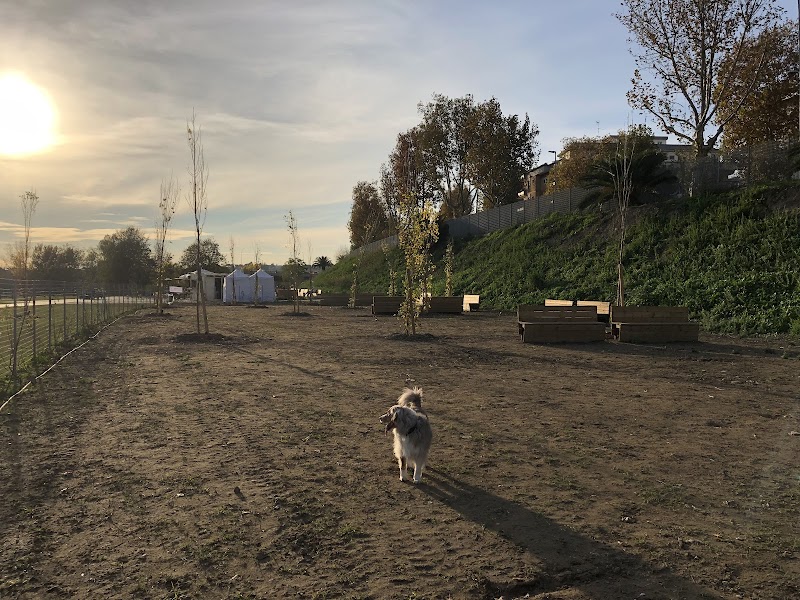 Area cani