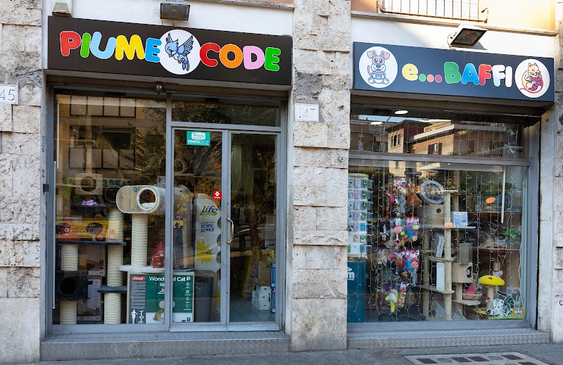 Piume Code e Baffi