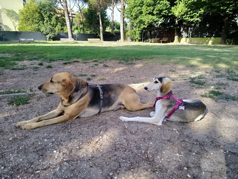 Simpatiche Canaglie, Area cani adottati