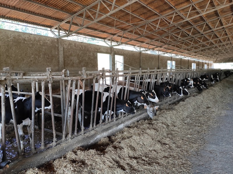 Allevamento Cinque Stelle Societa' Agricola A R.L.
