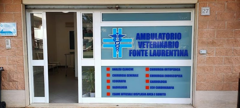 Surgery Veterinarian Dr. John Recine