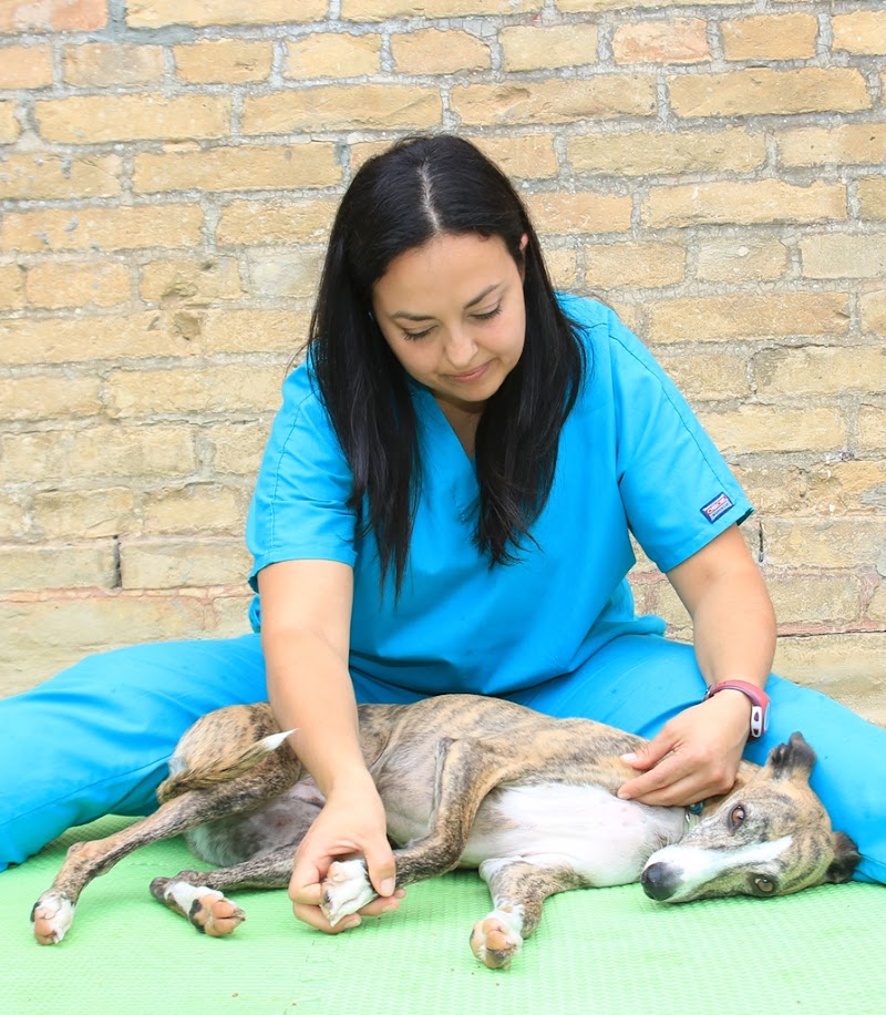 Salus Pet Lab