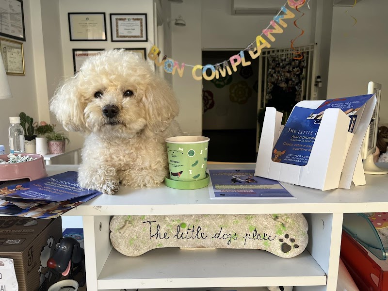 The Little Dogs Place