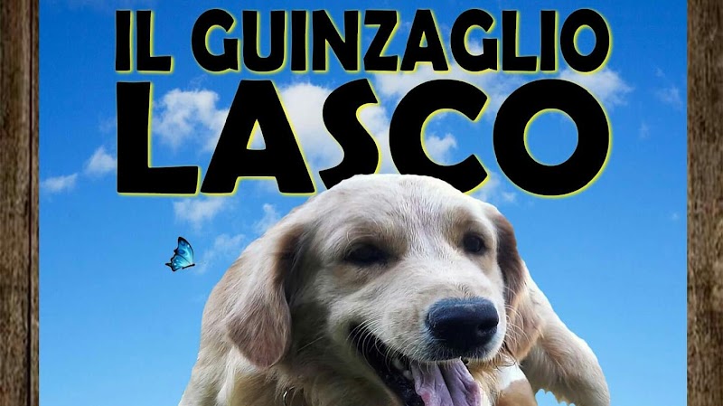 Centro Cinofilo a.s.d. Il Guinzaglio Lasco