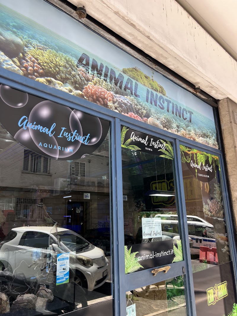 Animal Instinct