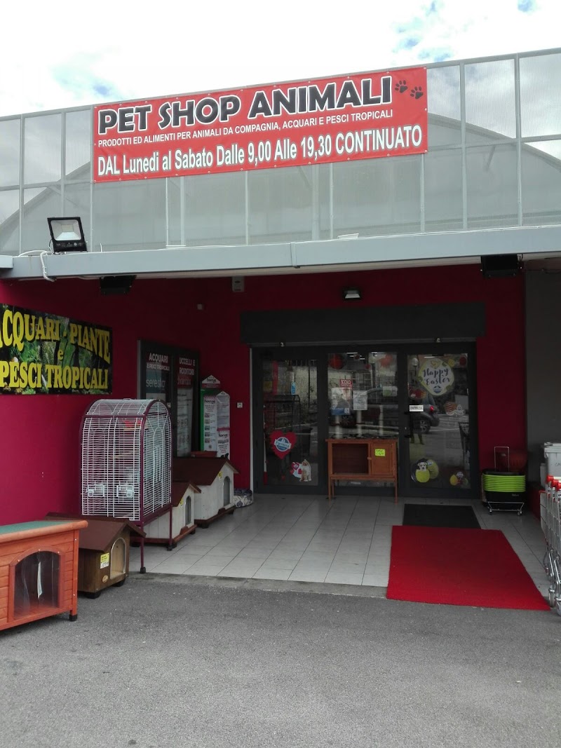 Petshop Animali