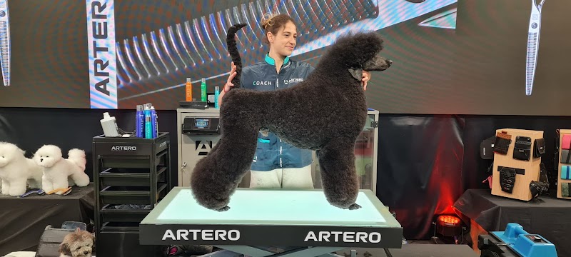 Ettore e Lulù Toeletta e petshop Talenti