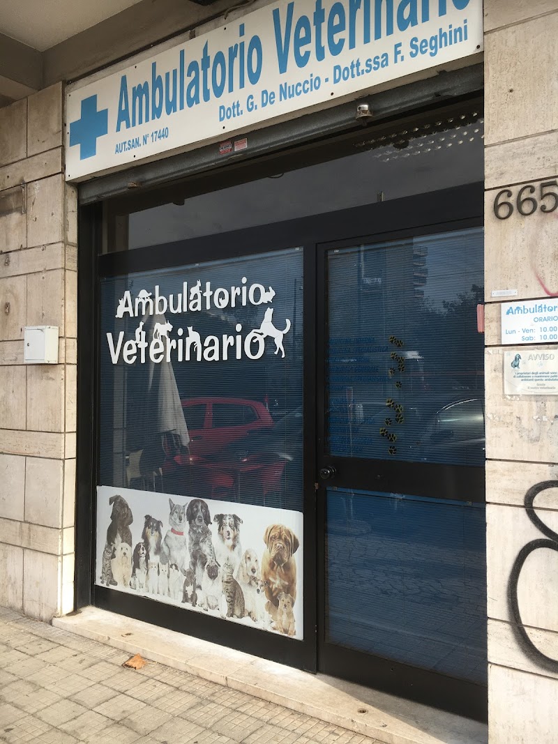 Amb. Veterinario De Nuccio Giovanni e Seghini Francesca
