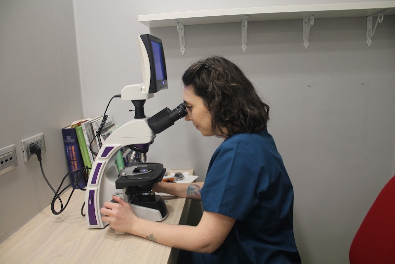 Clinica Veterinaria Tuscolana