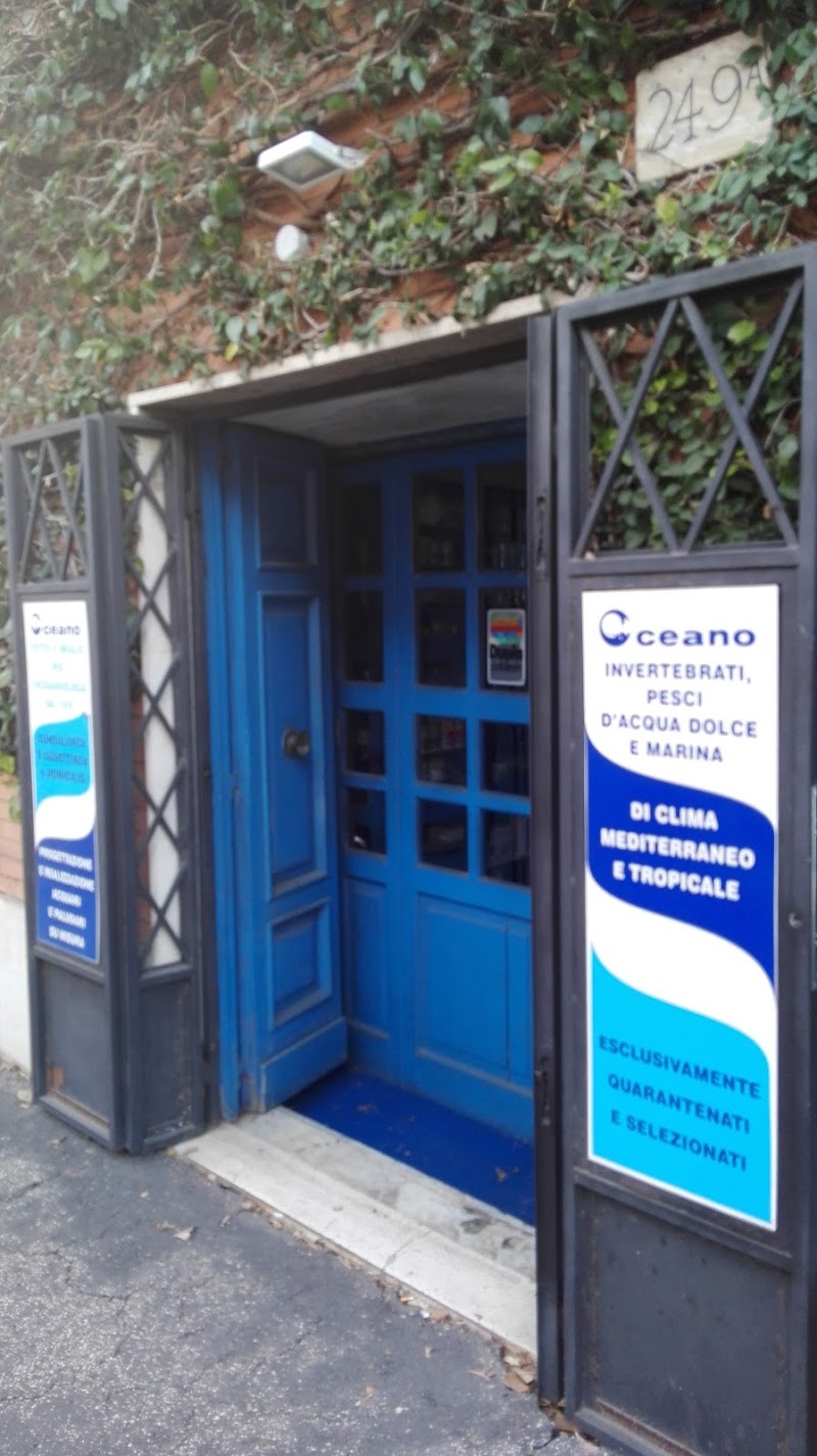 Oceano Snc