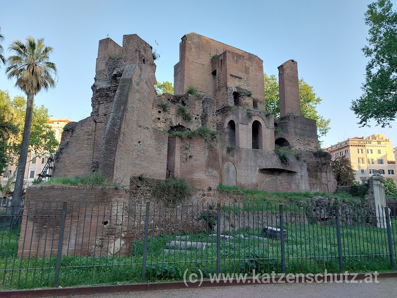 Associazione Onlus I Gatti della Porta Magica