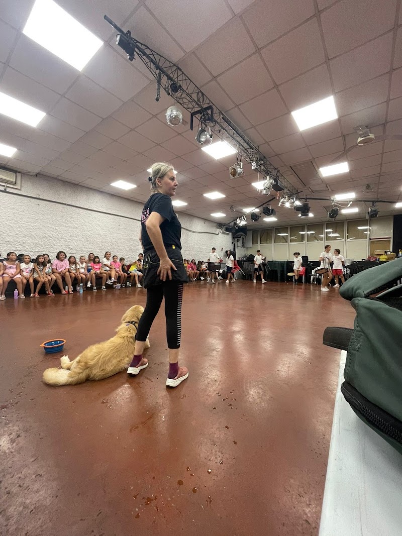 Dogtrainingroma & Bau bau school
