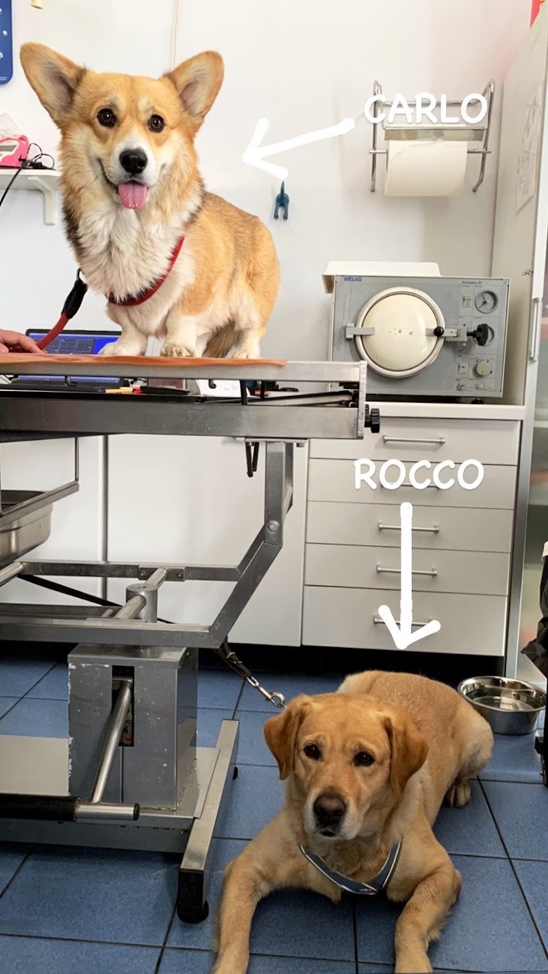 Ambulatorio Veterinario - Veterinaria Trieste