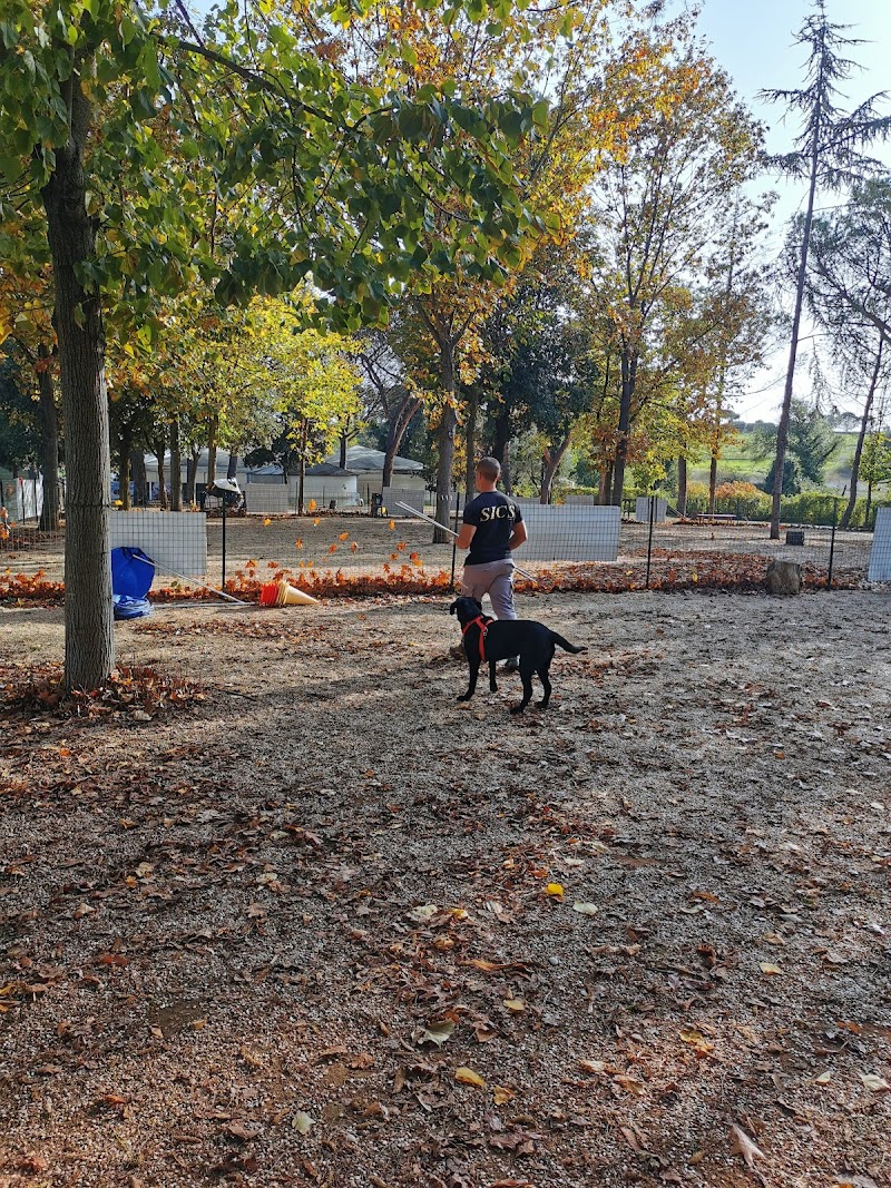 SICS LAZIO - Scuola Italiana Cani Salvataggio