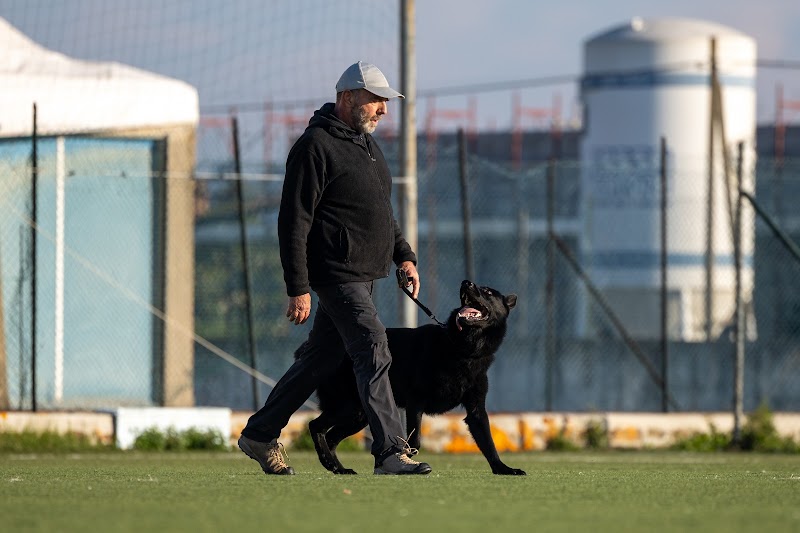 Accademia Romana del Cane