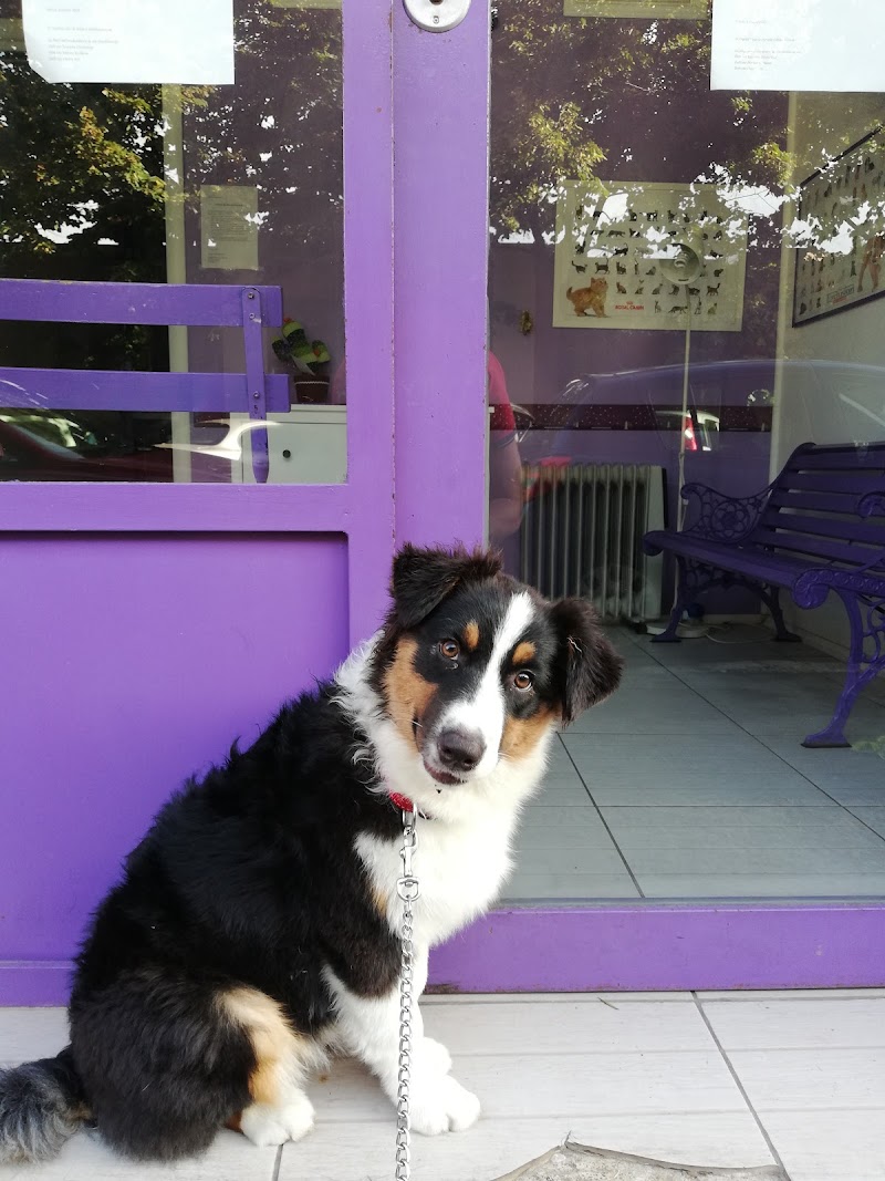 Ambulatorio Veterinario ThelmaLouise