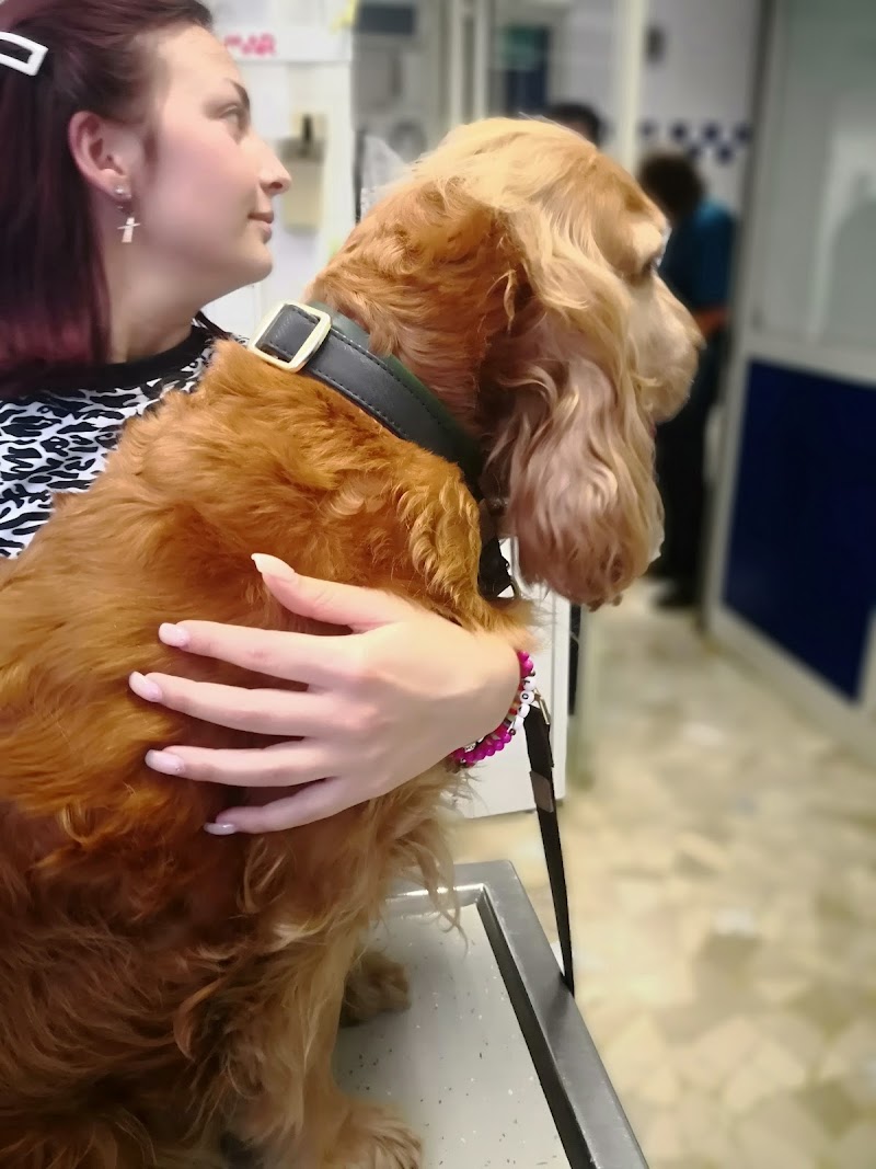 Veterinary Clinic Caffarella