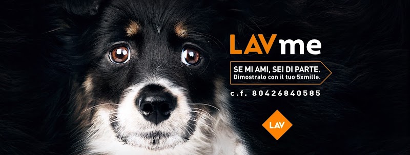 LAV
