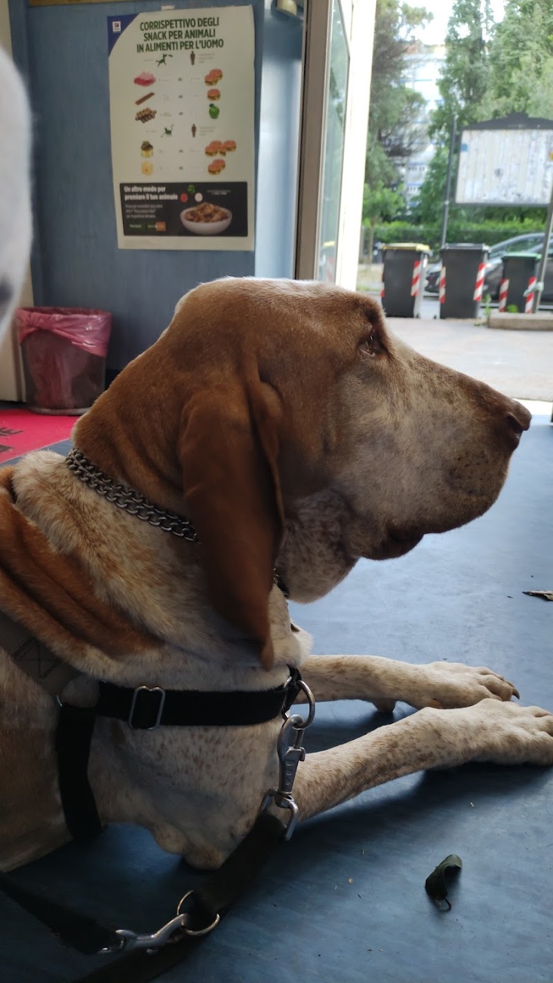 The Academies Veterinary Surgery