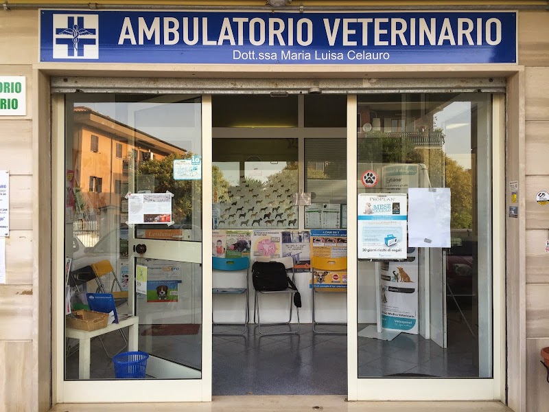 AMBULATORIO VETERINARIO DOTT.SSA CELAURO