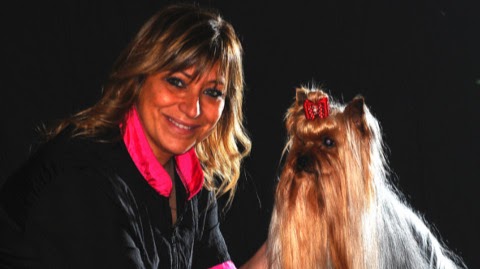 Toelettatura Moderna di Oliva Nelly