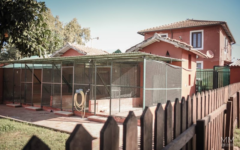 Centro Sanitario Cinofilo - Dimmelord