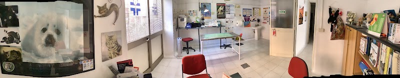 Ambulatorio Veterinario dott.ssa Maria Tiziana Scafetta
