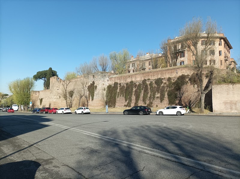 Clinica Veterinaria Piazzale Ardeatino - dott.da Marialivia Palmieri