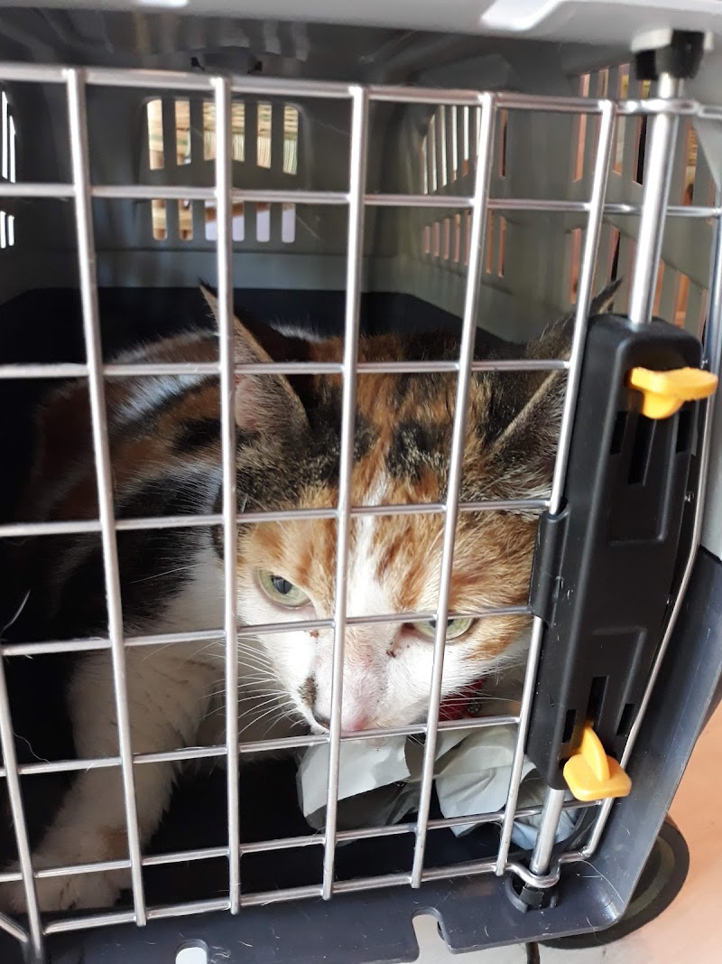 Ambulatorio Veterinario Mura Latine