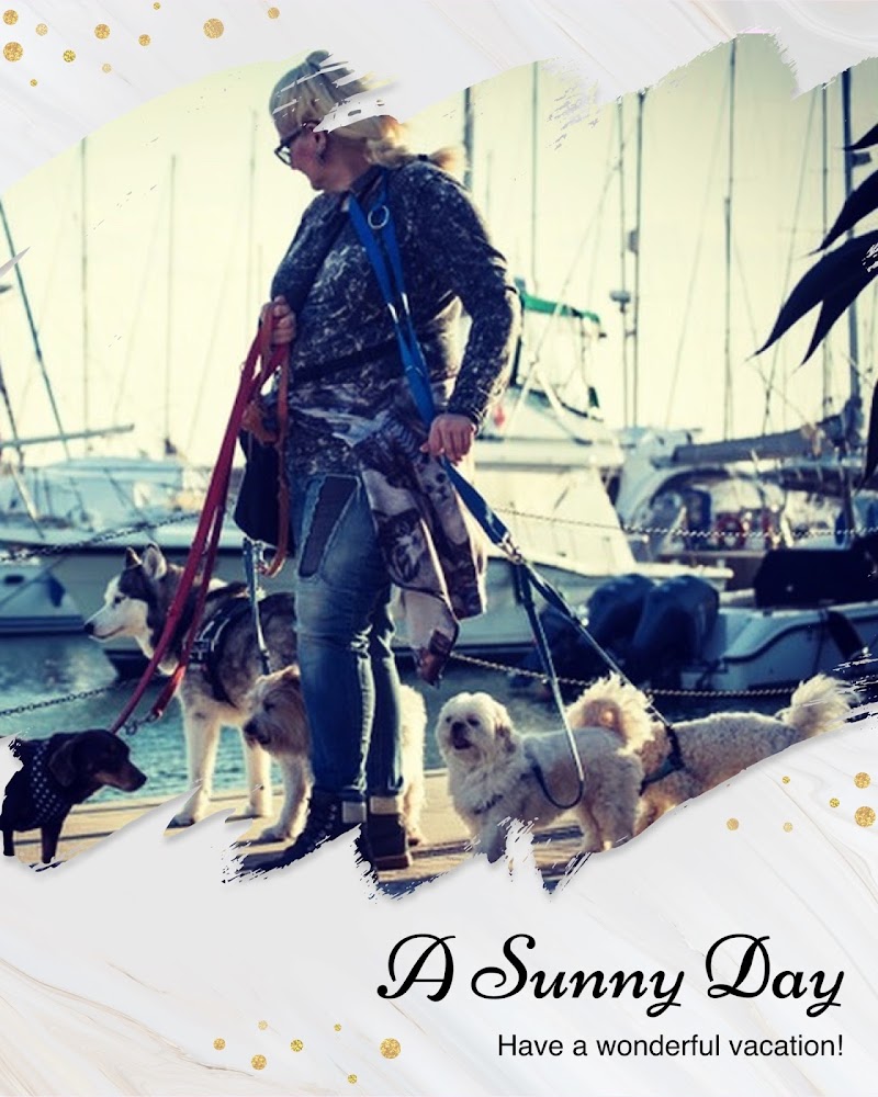 EDUCATORE CINOFILO, PENSIONE CANI, PETSITTER: DOG TRAINER & DOG HOUSE ROMA