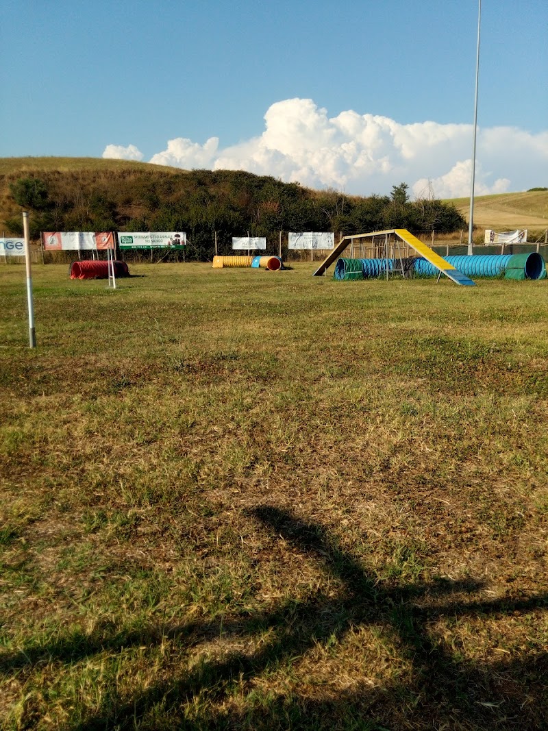 EssereCane Centro Cinofilo