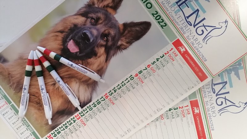 Ambulatorio Veterinario ATHENA