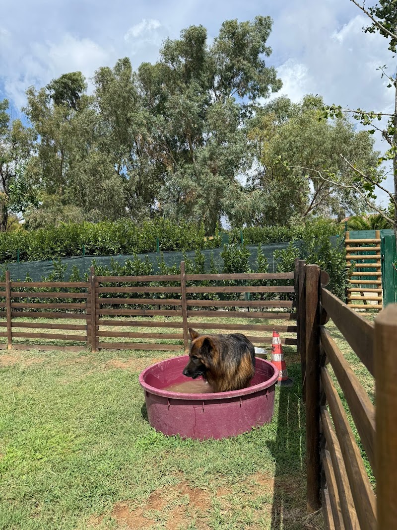 CANISSIMO Dog Retreat