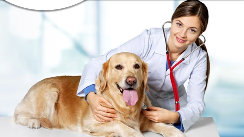 Ambulatorio Veterinario Prati