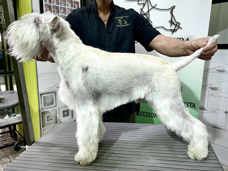 Mister Dog Frascati