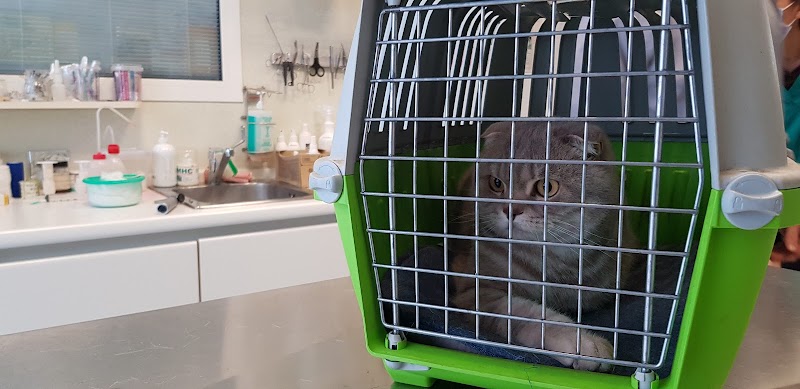 Ambulatorio Veterinario Nomentano
