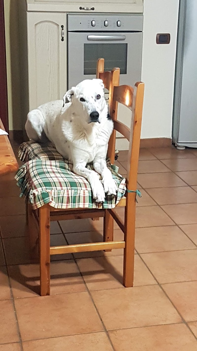 Minici Paola