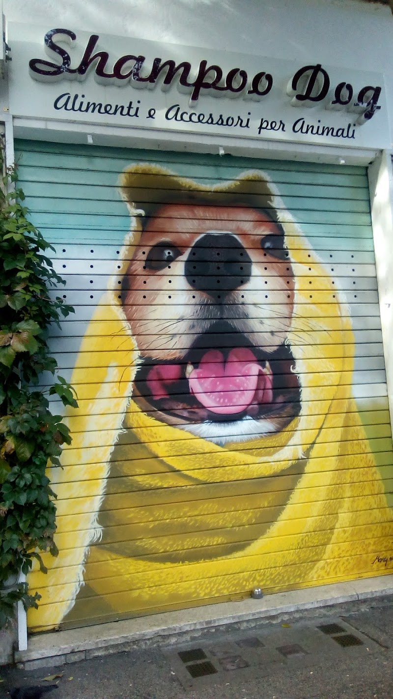 Shampoo Dog S.n.c.