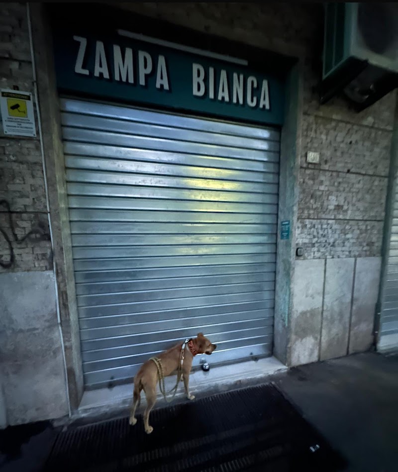 Zampa Bianca - Il negozio degli animali Di Gianluca Guarneri