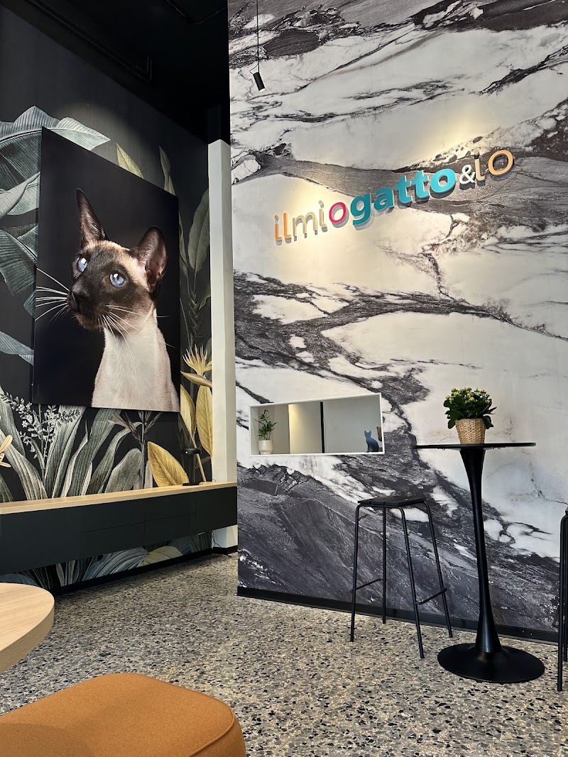 Il Mio Gatto ed Io, Veterinari riservati ai gatti a Roma