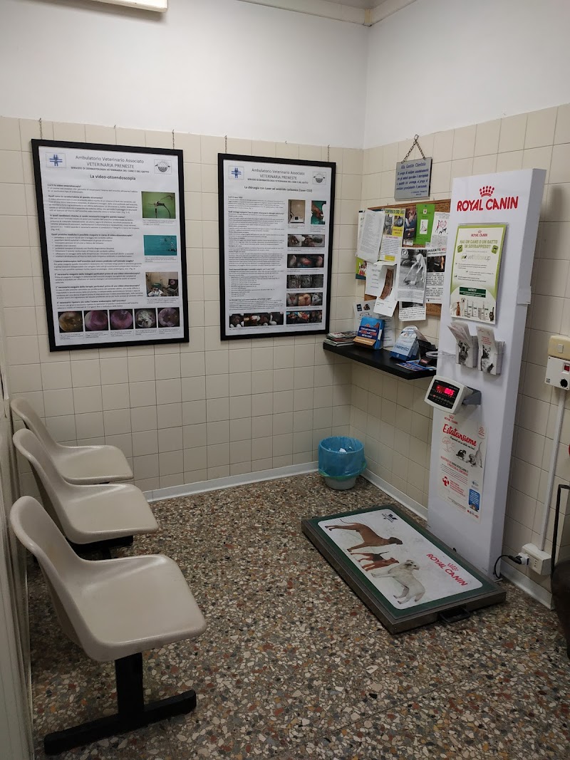 Veterinaria Preneste - Studio Associato