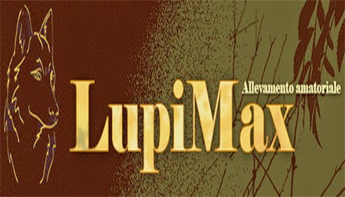 Allevamento Lupimax