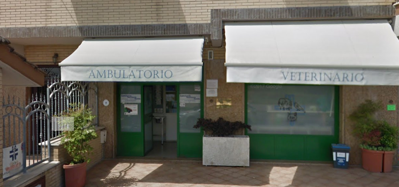 Ambulatorio Veterinario
