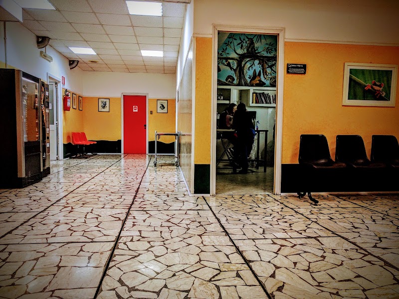 Clinica Veterinaria Prenestina - Pronto Soccorso Veterinario H24 - BluVet Gruppo Ca' Zampa